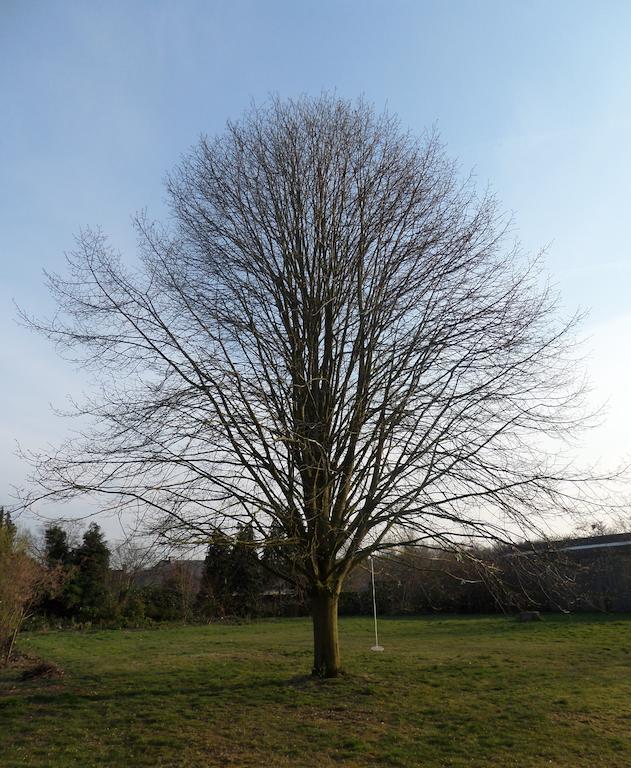 Villa Bijenhof Varsenare Quarto foto